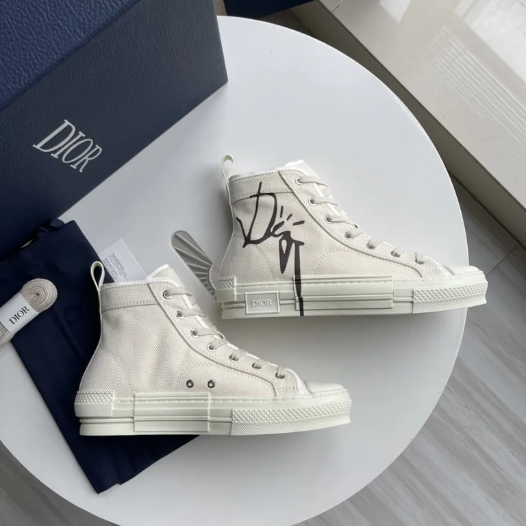 Dior Shoe 